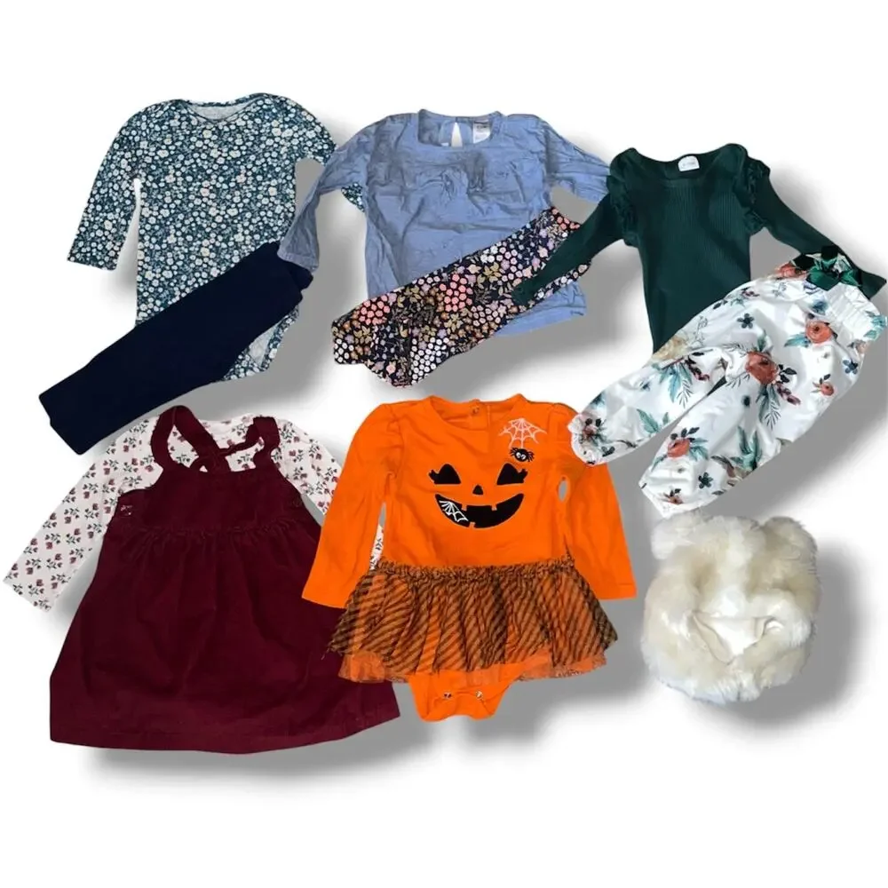 Huge 12-Month Baby Girl Autumn & Winter Clothing Lot